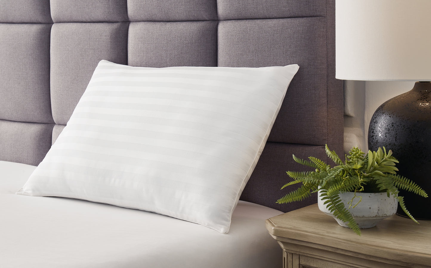 Auburndale Furniture Outlet - Ashley Furniture - Zephyr 2.0 Pillows - Cotton Pillow (Set of 2)(9/CS) / White - M52110