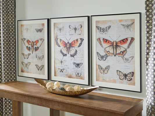 Auburndale Furniture Outlet - Ashley Furniture - Jossletts Wall Decor - Wall Art Set (3/CN) / Orange/Black/Ivory - A8000490