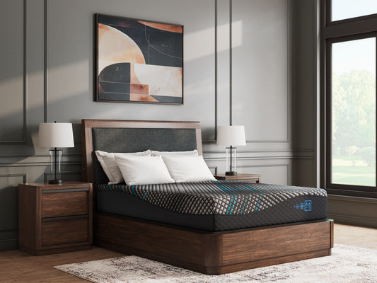Auburndale Furniture Outlet - Ashley Furniture - Millennium 2.0 Foam 12 Inch Mattresses - California King / Black - M31151