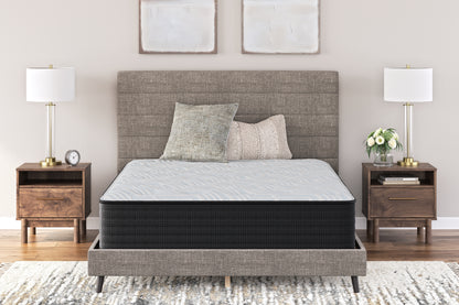 Auburndale Furniture Outlet - Ashley Furniture - Palisades Plush Mattresses - Queen / Gray/Blue - M41631