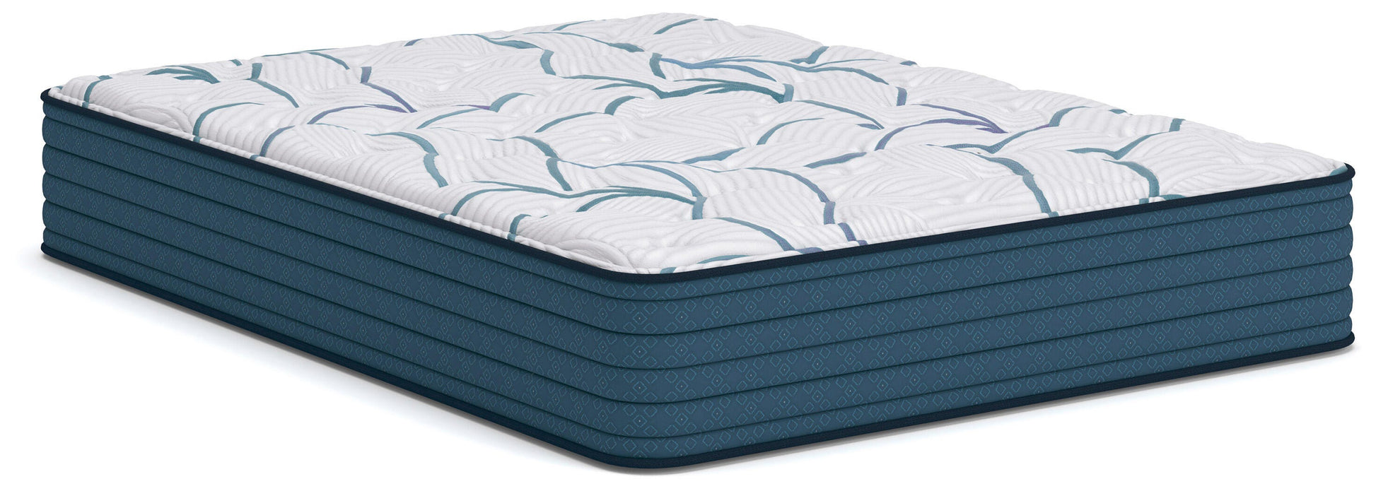 Auburndale Furniture Outlet - Ashley Furniture - Limited Edition Plush 3.0 Mattresses - Queen - M45131