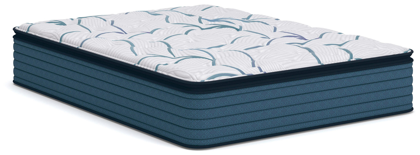 Auburndale Furniture Outlet - Ashley Furniture - Limited Edition Plush PT 3.0 Mattresses - Queen - M45231