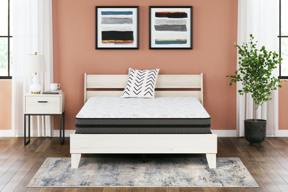Auburndale Furniture Outlet - Ashley Furniture - 10 Inch Pocketed Hybrid Mattresses - Twin / White - M58911