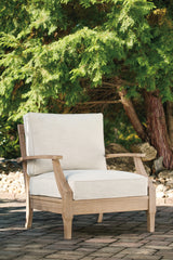 Lounge Chair w/Cushion (1/CN)